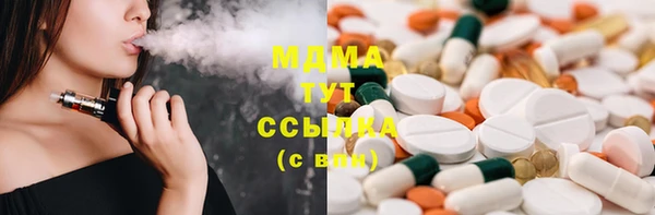 гидра Туринск