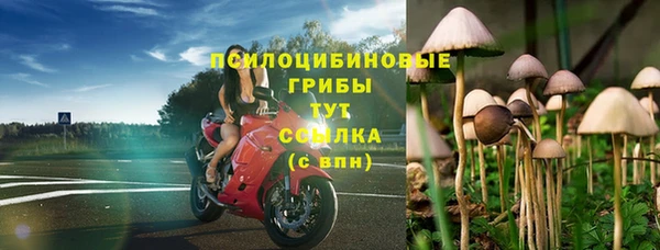 спайс Аркадак